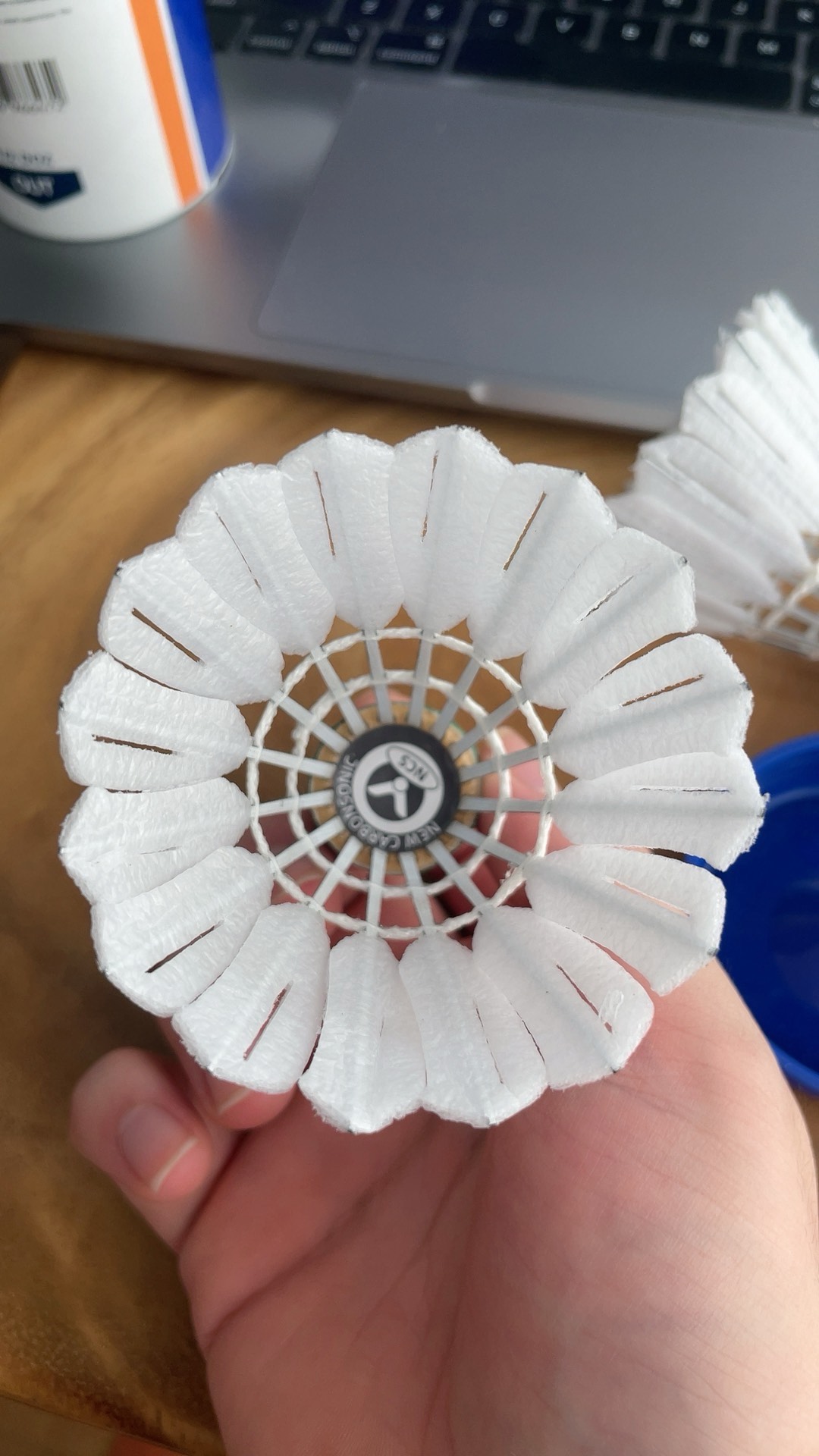 整场比赛 整场比赛